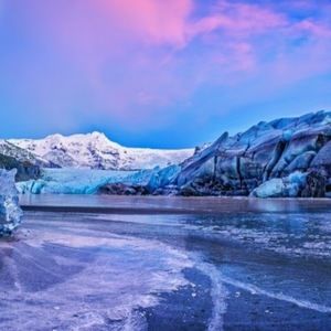 Meet your Posher, Logan